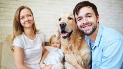 Family Lawyers In Toronto: Who “Owns” the Family Pet if you Separate or Divorce?